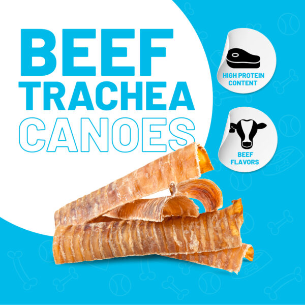 Beef Trachea Canoes 6" High Quality for Dogs Hip & Joint Health