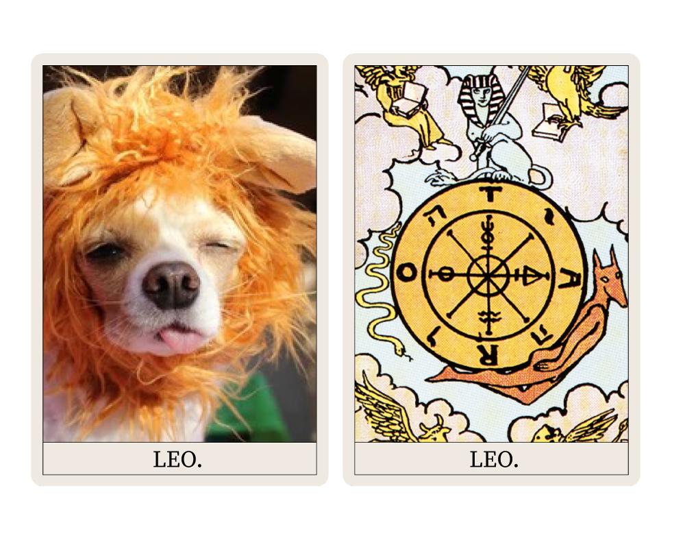 Horoscope for Dogs (Leo Card)