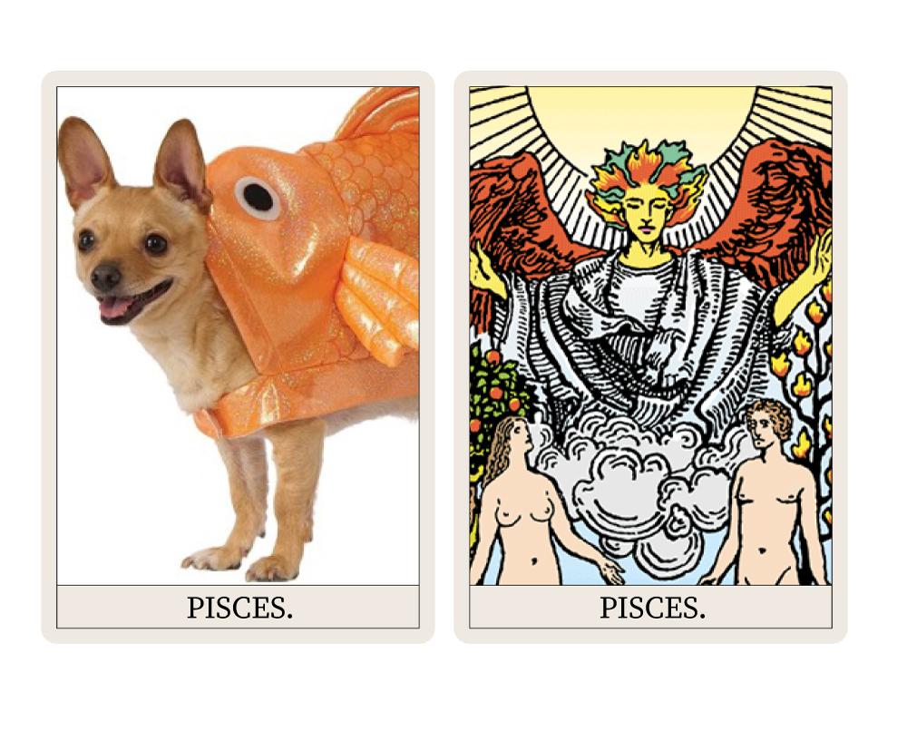 Horoscope for Dogs (Pisces Card)