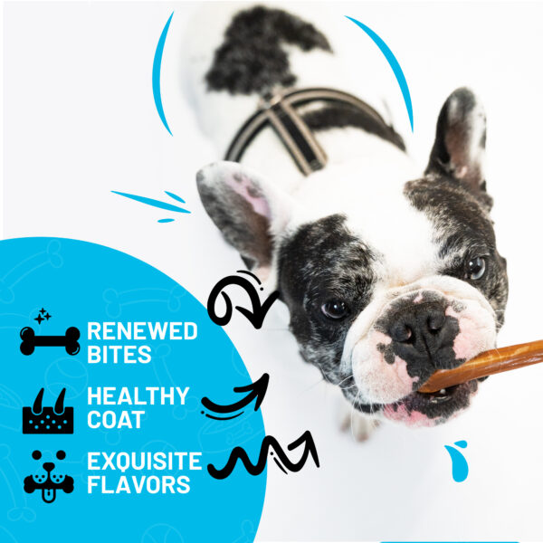 Sitka Farms premium Bully Sticks 6 Inches Regular Natural Dog Chews