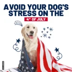 Avoid Your Dog’s Stress on the 4th of July! No More Fireworks!