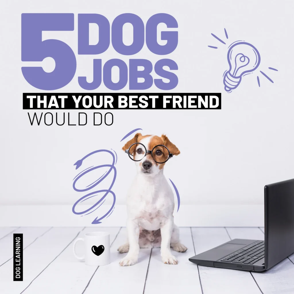 Happy Labor Day! Learn about the most incredible Dog Jobs in the USA, and remember that your best friend could also practice.