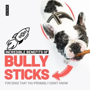 Are you a Bully Stick Lover? We understand you romance, today you’ll discover amazing and unique benefits of premium & natural bully sticks for dogs